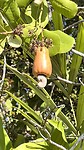 IMG_5685