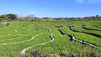 IMG_5689