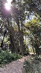IMG_5733
