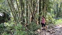 IMG_5741