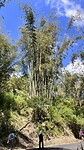 IMG_5739