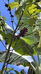 IMG_5752