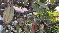 IMG_5753