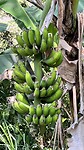 IMG_5757