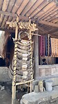 IMG_5770