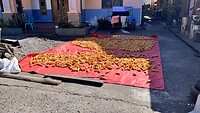 IMG_5811