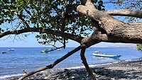 IMG_5832