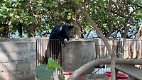 IMG_5837