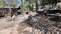 IMG_5841