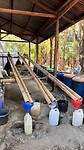 IMG_5855