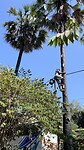 IMG_5857
