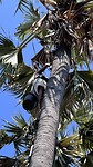 IMG_5859