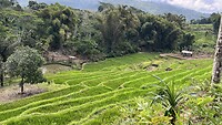IMG_5871