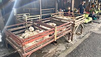 IMG_5895