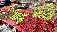 IMG_5906