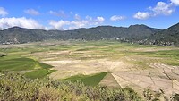 IMG_5921