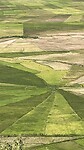 IMG_5923