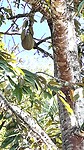 IMG_5924