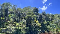 IMG_5939