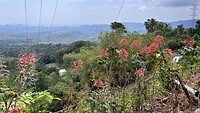 IMG_5960