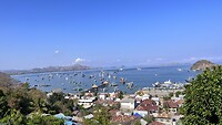 IMG_6005