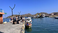 IMG_6007