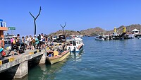 IMG_6009