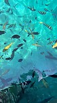 IMG_6043
