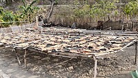 IMG_6069