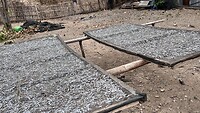 IMG_6070