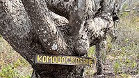 IMG_6074