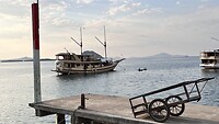 IMG_6130