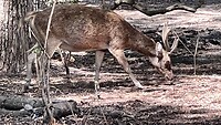 IMG_6224