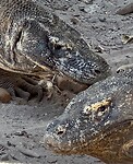 IMG_6276