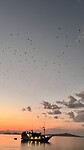 IMG_6145