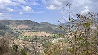 IMG_6303