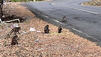 IMG_6308