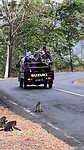 IMG_6309