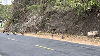 IMG_6310