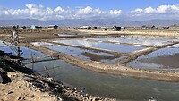IMG_6336