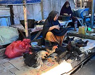 IMG_6351