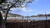 IMG_6388