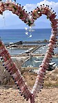 IMG_6408
