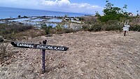 IMG_6401