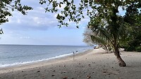 IMG_6419