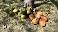IMG_6430