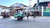 IMG_6441