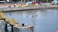 IMG_6461