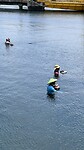 IMG_6463