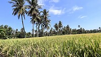 IMG_6475